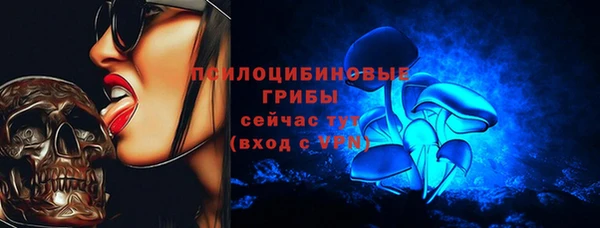 кристаллы Гусь-Хрустальный