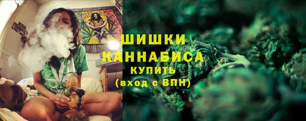кристаллы Гусь-Хрустальный
