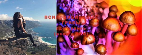 кристаллы Гусь-Хрустальный