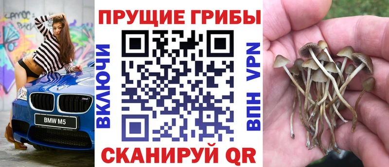 Псилоцибиновые грибы мицелий  мега вход  Ачинск  наркотики 